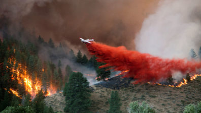 A plane dumps fire retardant on a set of trees while fighting the Elk fire near Pine, Idaho. Sunday Aug. 11, 2013. (AP Photo/ Idaho Statesman, Kyle Green)