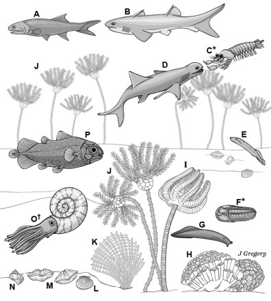 Conscious animals of ancient ocean, 330 million years ago, from Feinberg and Mallatt 2016 book